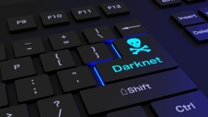 Darknet Monitoring Service